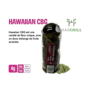 fleurs-de-cbd-hawaiian-cbg-4g-haschill-pas-cher